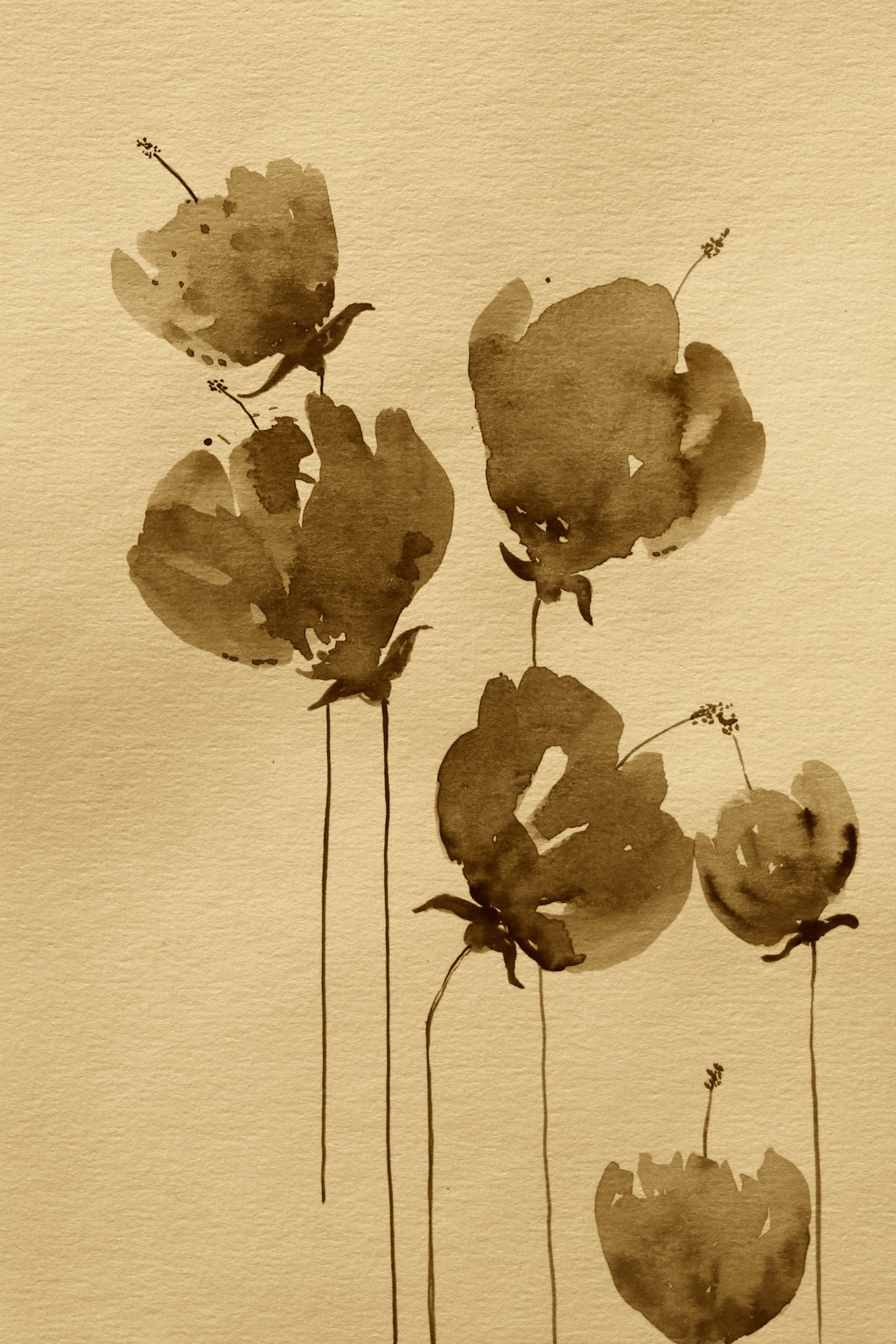 Poppies In Muted Sepia Tones