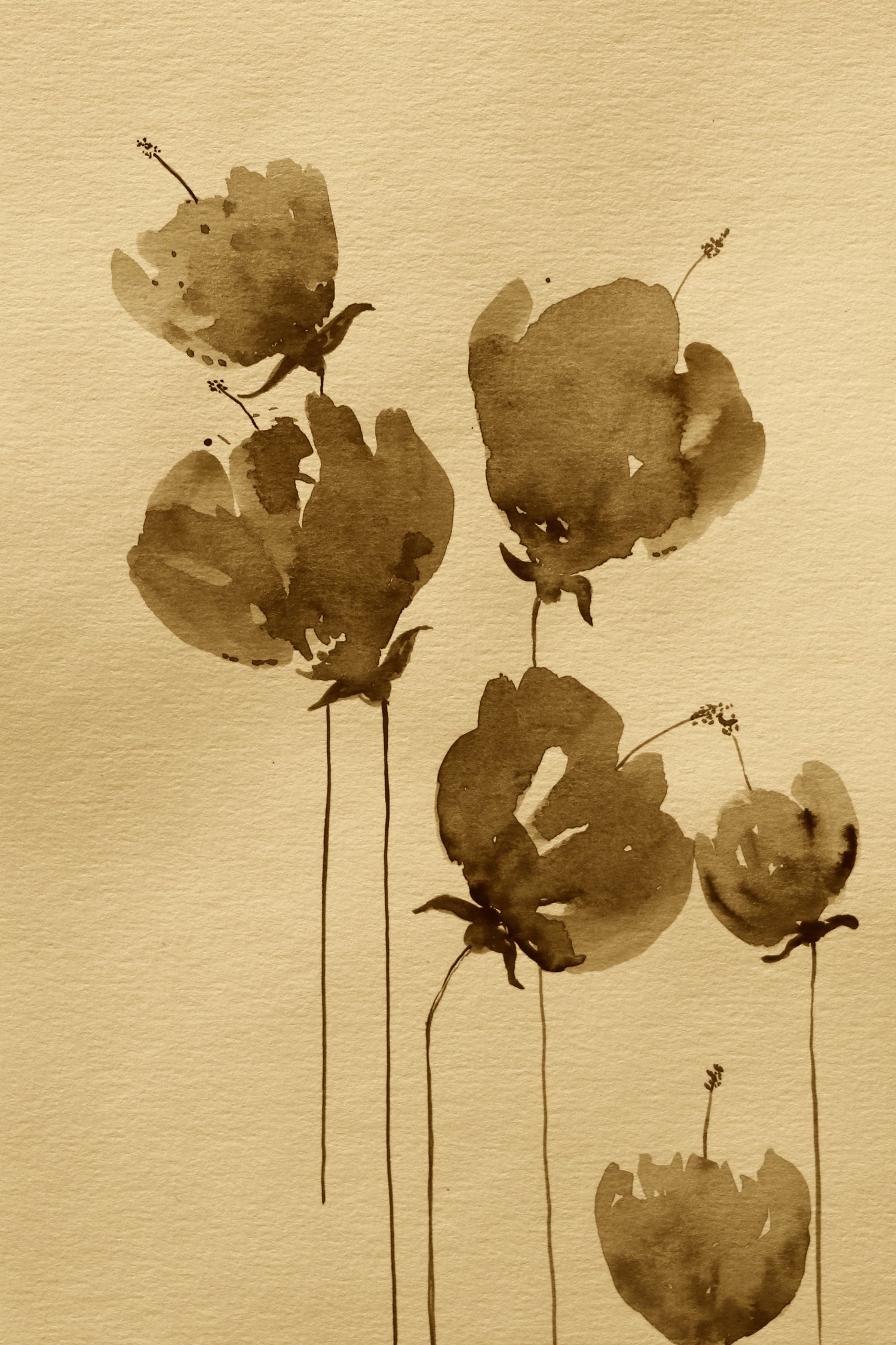 Poppies In Muted Sepia Tones