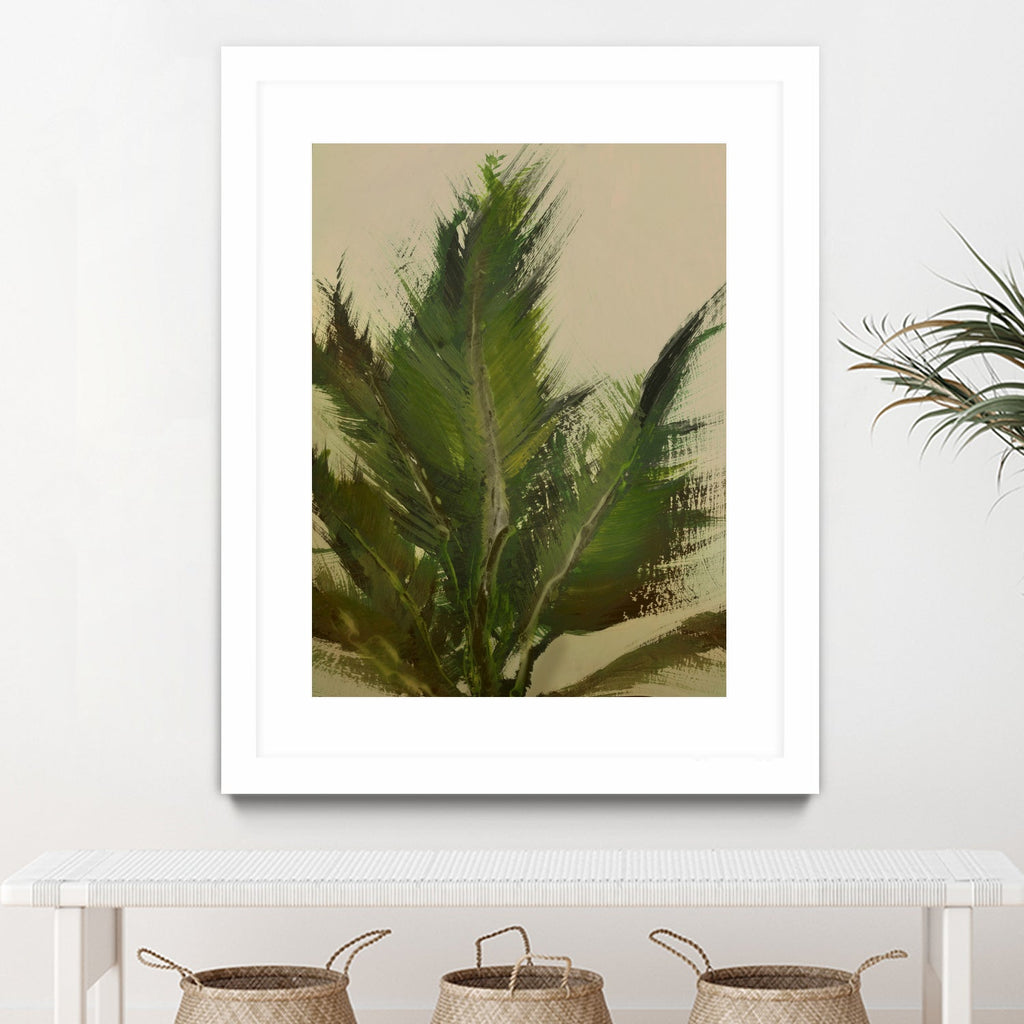 Palm