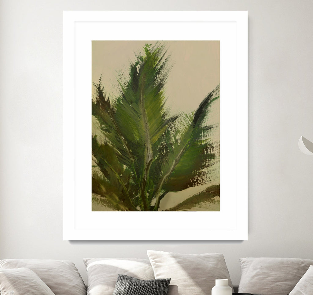 Palm