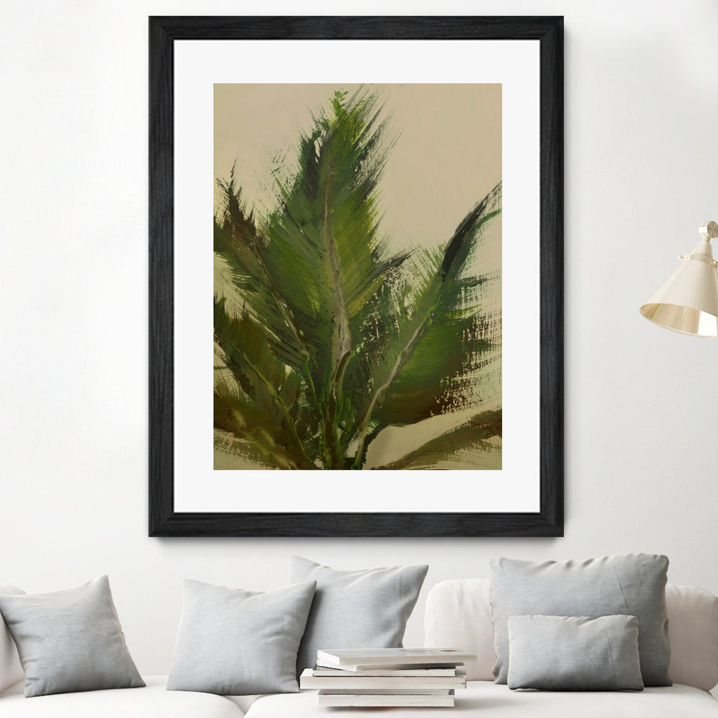 Palm