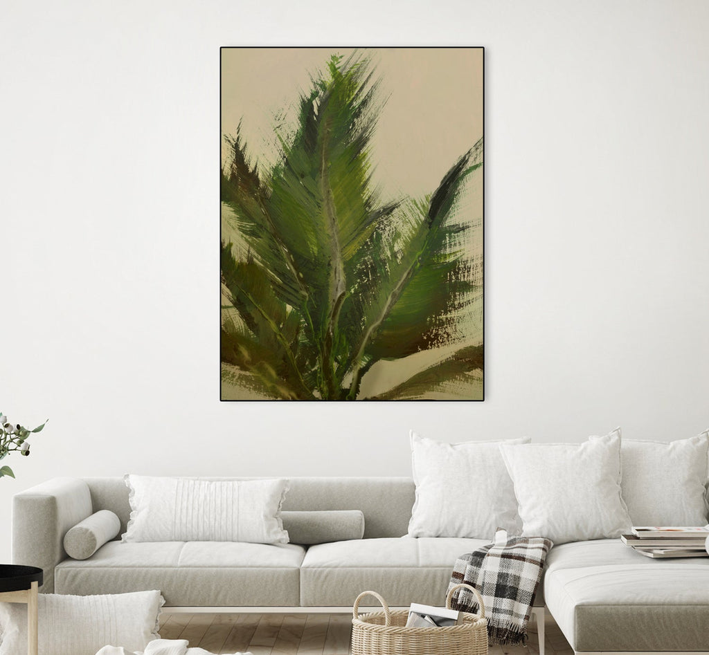 Palm
