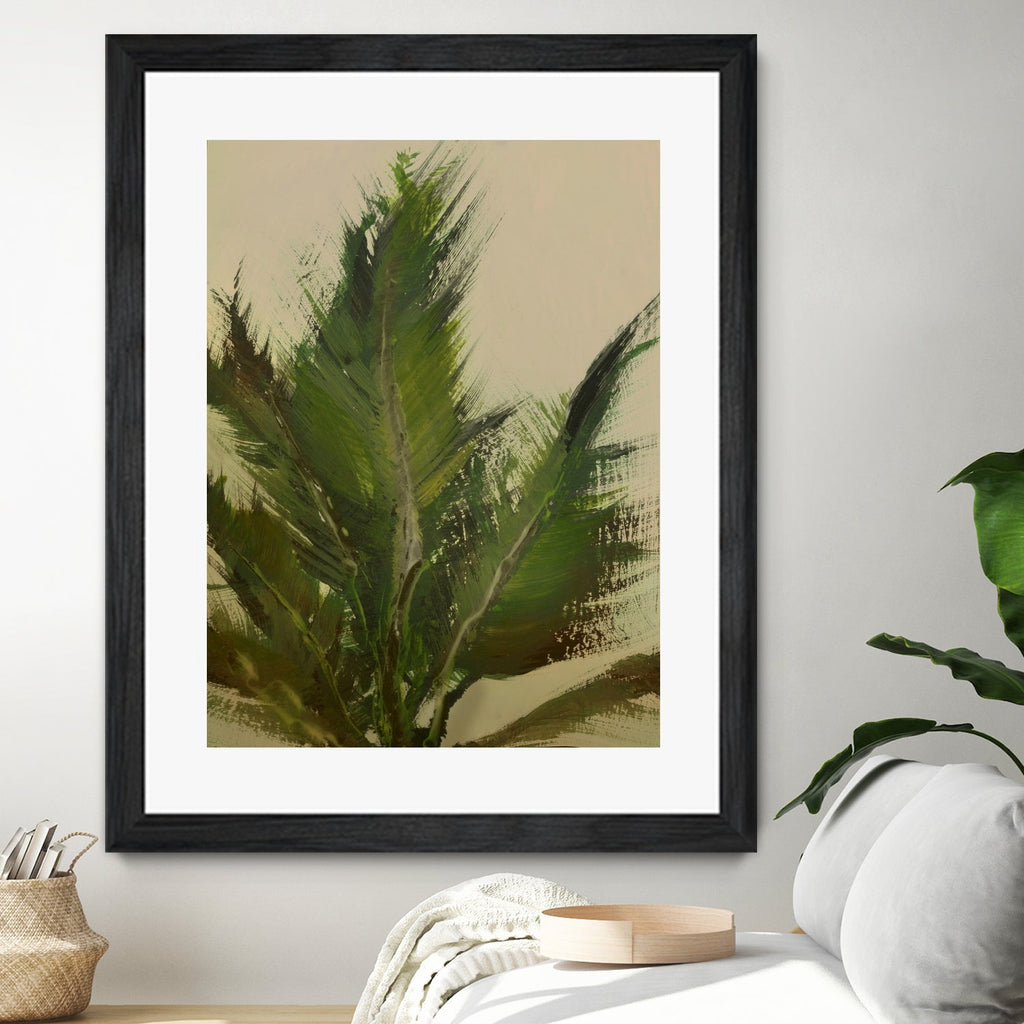Palm