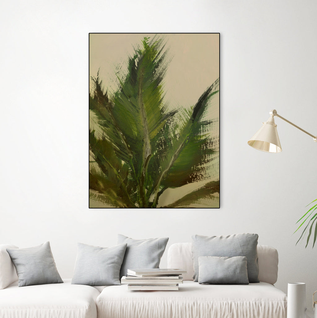 Palm