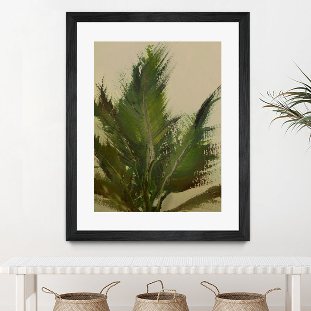 Palm