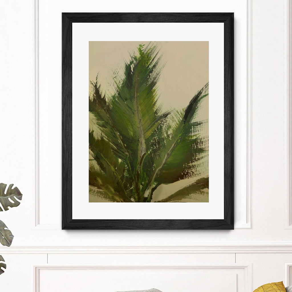 Palm