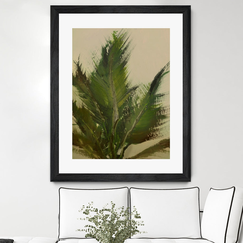 Palm