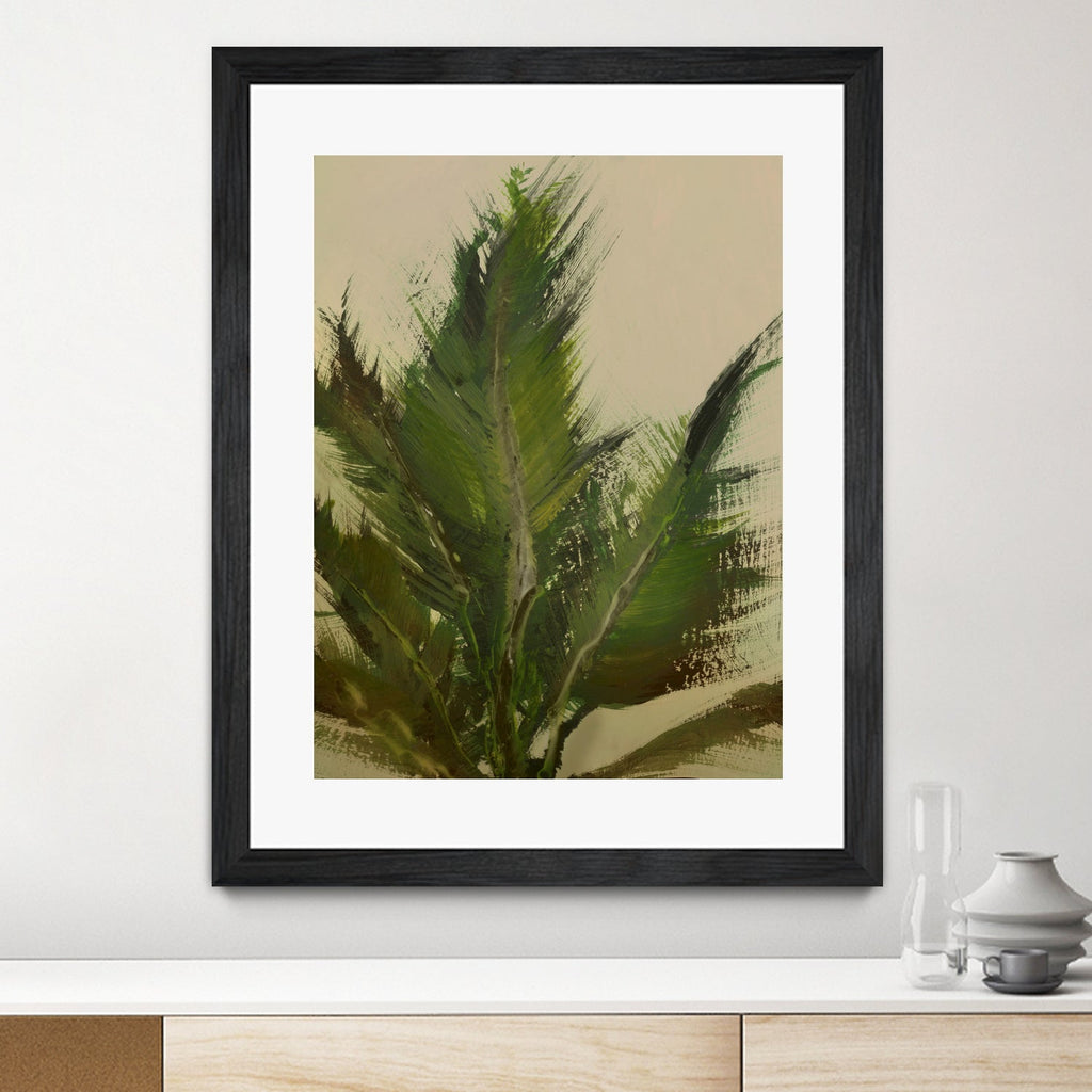 Palm
