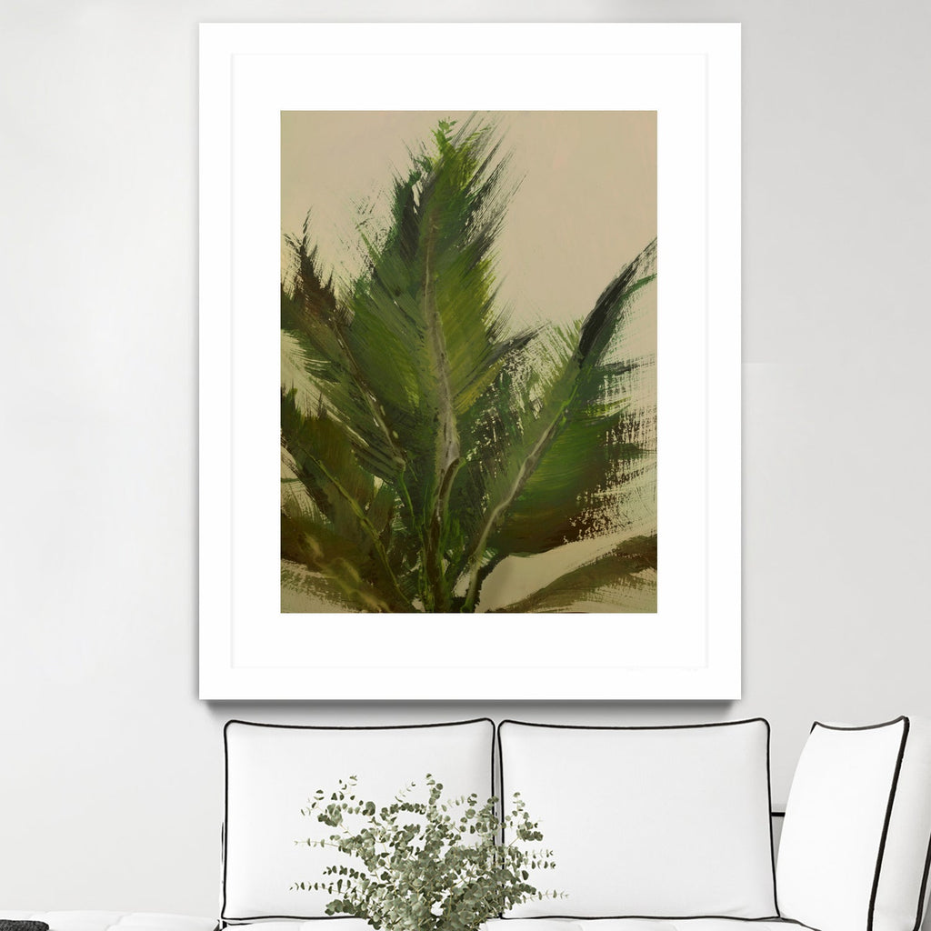 Palm