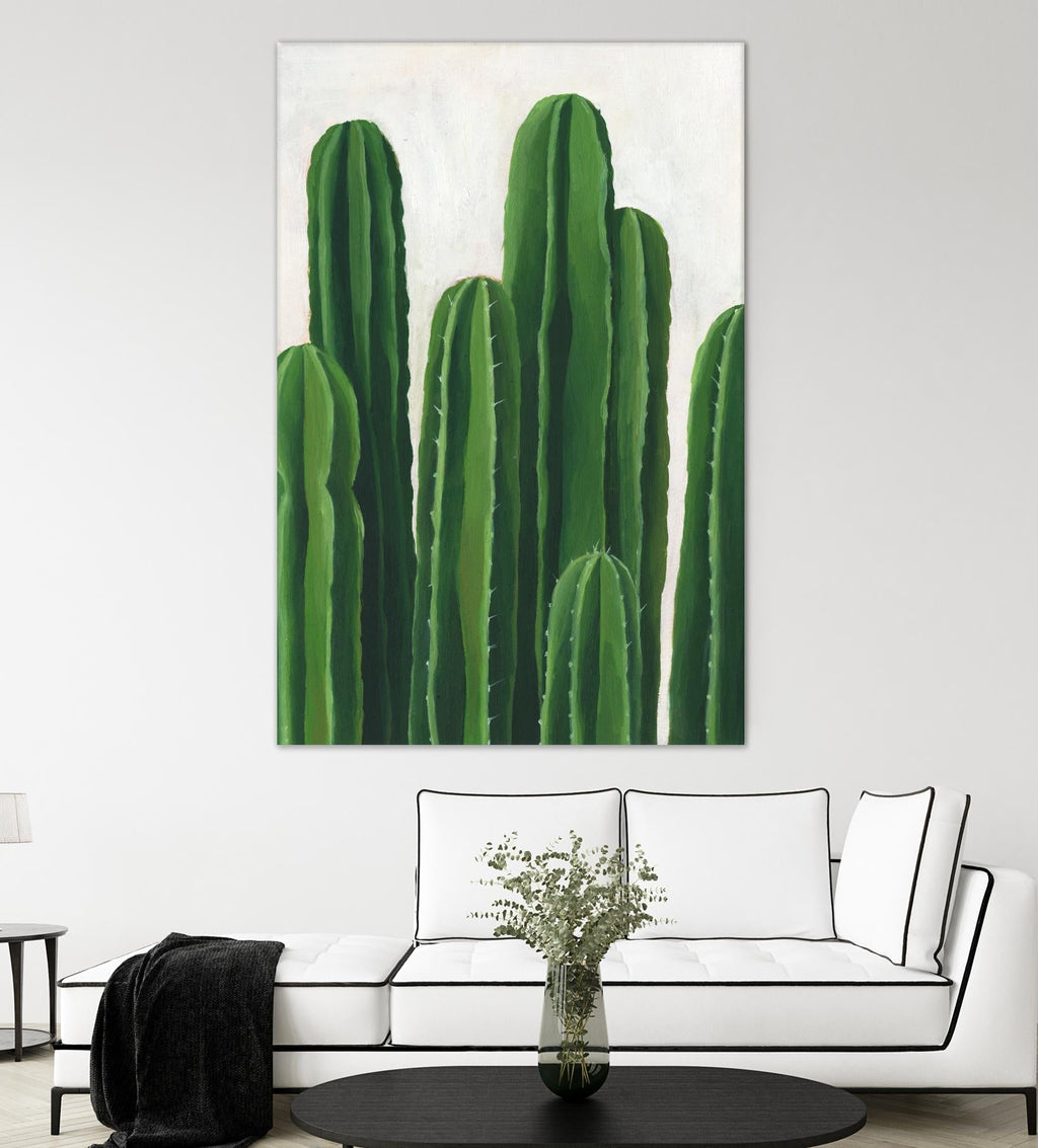 Pura Vida III